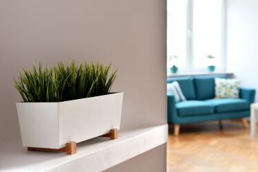 Centrum Dietetyczne MonVita